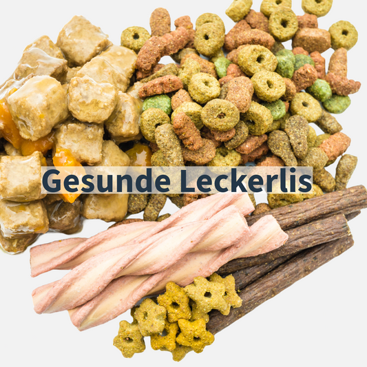 Gesunde Hunde Leckerlis und Snacks